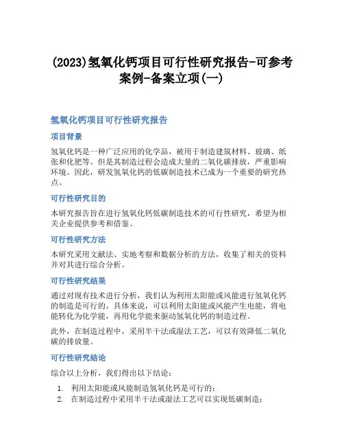 (2023)氢氧化钙项目可行性研究报告-可参考案例-备案立项(一)
