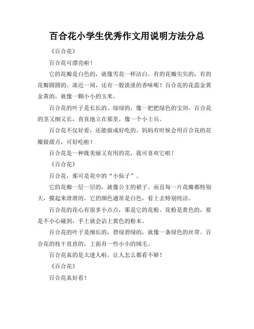 百合花小学生优秀作文用说明方法分总