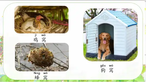 统编版一年级语文下册5树和喜鹊课件(共19张PPT)
