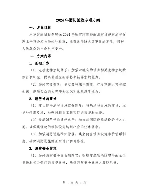 2024年消防验收专项方案
