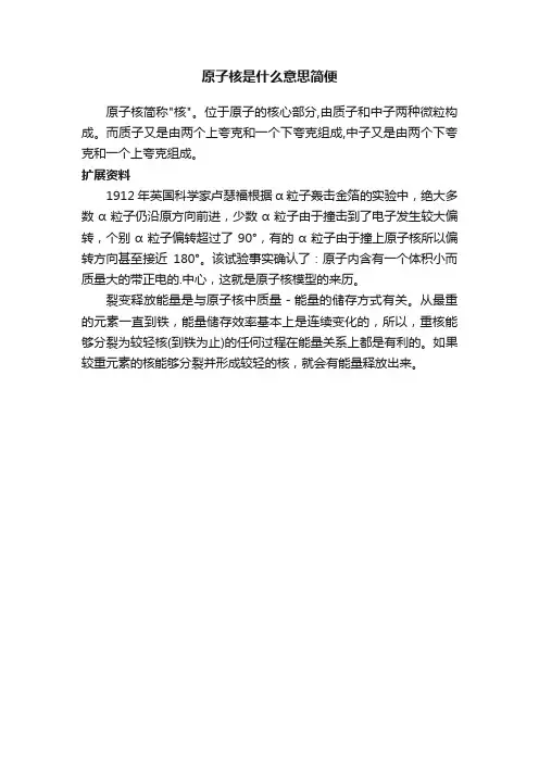 原子核是什么意思简便