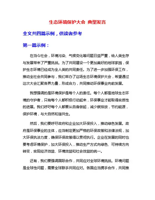 生态环境保护大会 典型发言