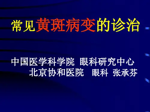 黄斑病变