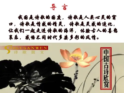 9.诗歌与小说