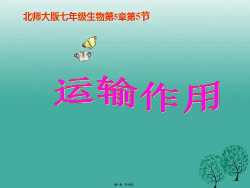 七年级生物上册 第三单元 第五章 第五节 运输作用课件 北师大版(与“运输”有关的文档共16张)