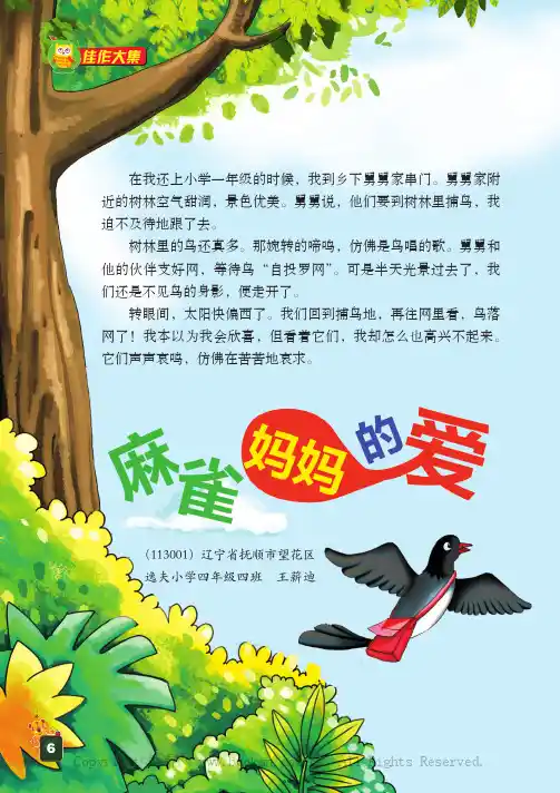 麻雀妈妈的爱