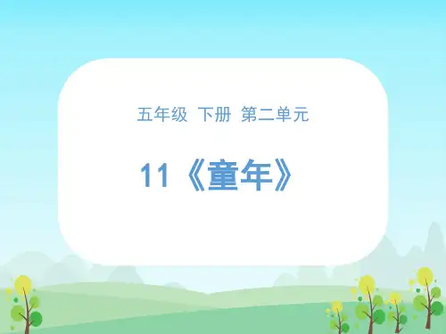 整本书阅读《童年》课件