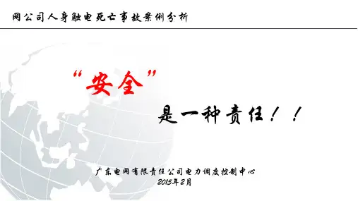 电网公司人身触电死亡事故案例分析