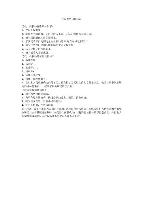 民政大病救助标准