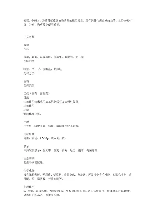 紫菀中药材