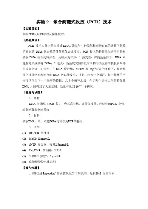 聚合酶链式反应