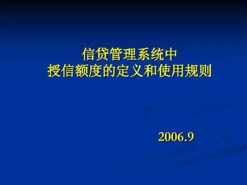 授信额度的定义和使用规则-2022年学习资料