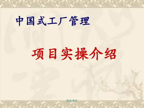 咨询项目实操介绍ppt课件