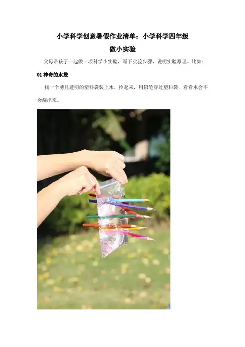 小学科学创意暑假作业清单：小学科学四年级