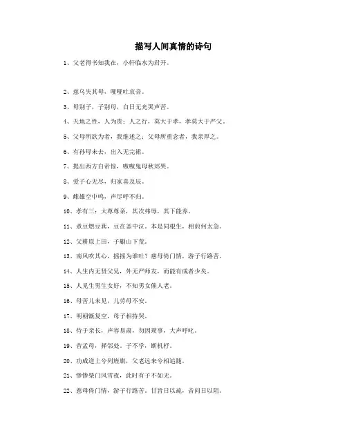 描写人间真情的诗句