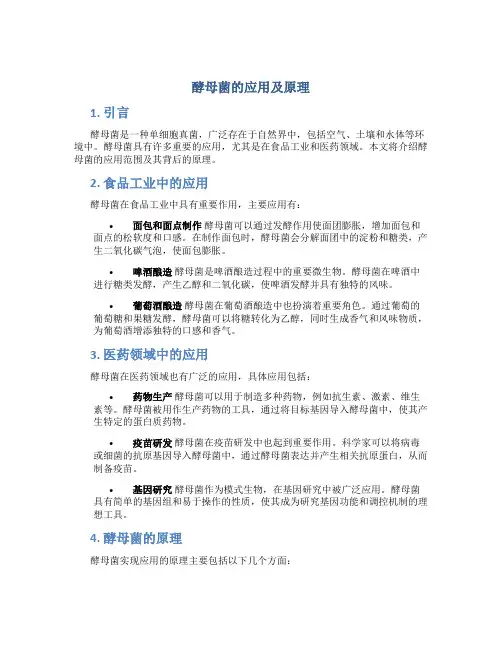酵母菌的应用及原理