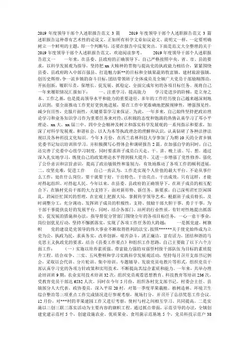 2019年度领导干部个人述职报告范文3篇
