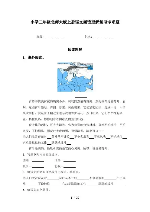 小学三年级北师大版上册语文阅读理解复习专项题