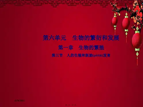八年级生物下册 第六单元 第一章 第三节 人的生殖和胚胎发育课件冀教级下册生物课件