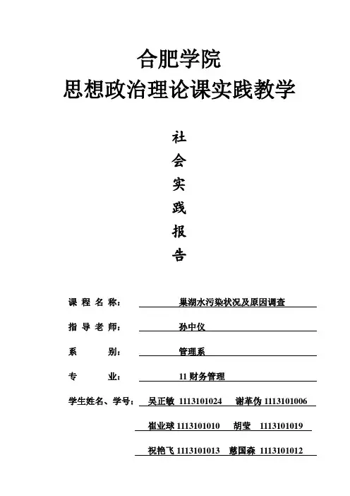 社会实践-巢湖水污染状况及原因调查- 
