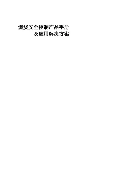 燃烧安全控制手册