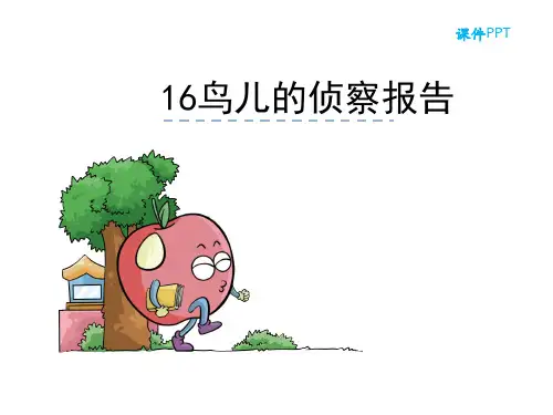 语文S版三年级语文下册《16鸟儿的侦察报告》课件