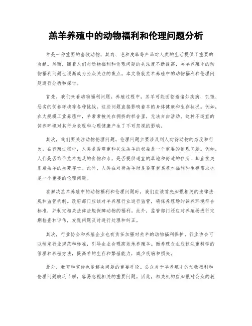 羔羊养殖中的动物福利和伦理问题分析
