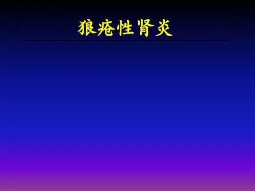 内科学课件 狼疮性肾炎 PPT课件