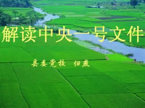 解读1号文