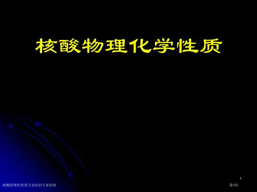 核酸的理化性质专业知识专家讲座