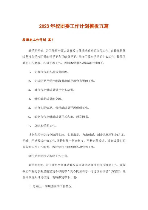 2023年校团委工作计划模板五篇