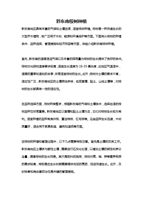 黔东南桉树种植