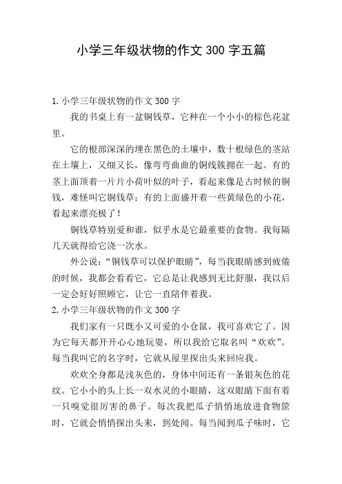 小学三年级状物的作文300字五篇