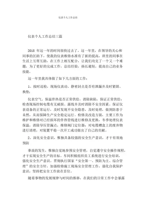 仪表个人工作总结