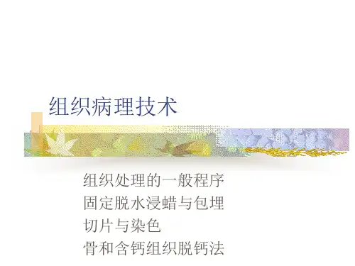 组织病理技术(完整版)
