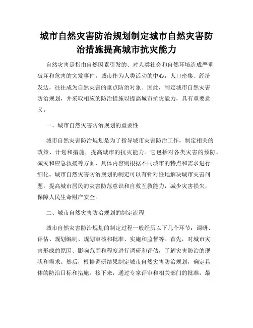 城市自然灾害防治规划制定城市自然灾害防治措施提高城市抗灾能力