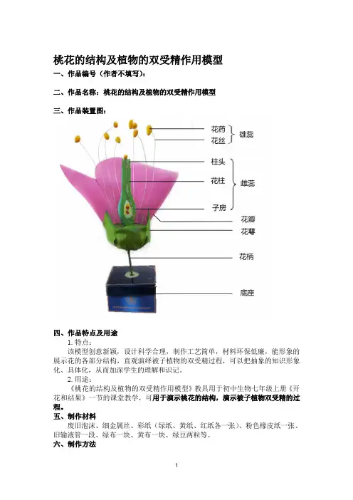 桃花的结构及植物的双受精作用模型的制作