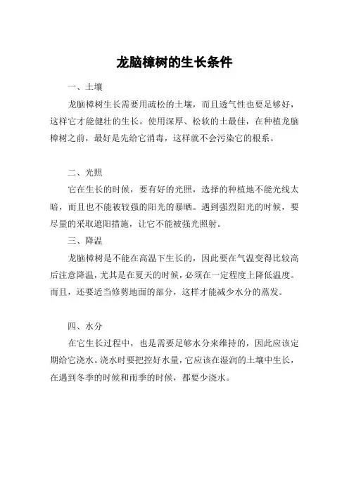 龙脑樟树的生长条件