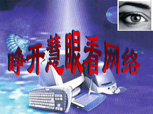 《网络安全教育》课件