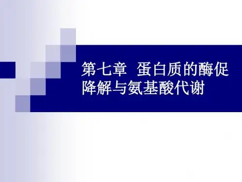 第六章蛋白质的降解