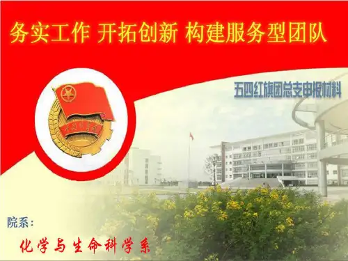 五四红旗团总支汇报(PPT)