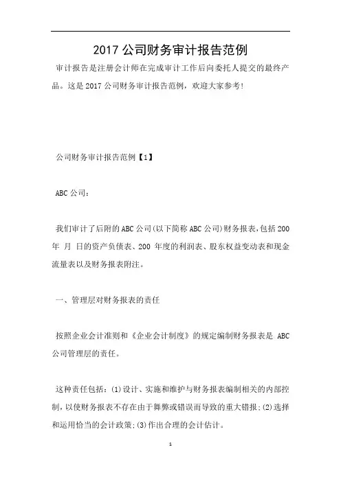 2017公司财务审计报告范例