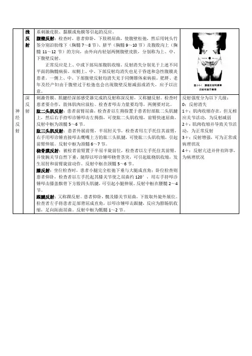 神经反射检查要点