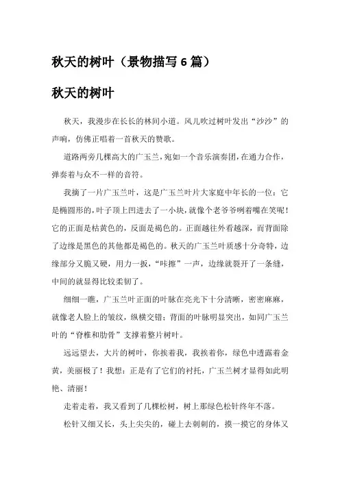 秋天的树叶(景物描写6篇)