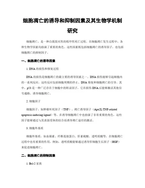 细胞凋亡的诱导和抑制因素及其生物学机制研究