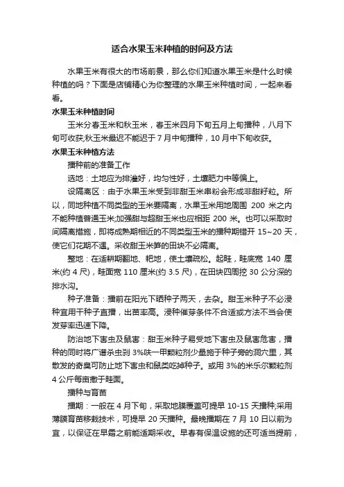 适合水果玉米种植的时间及方法