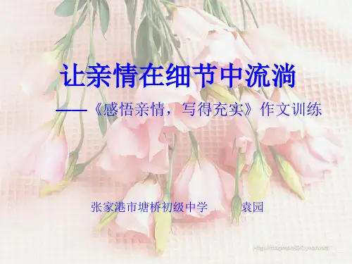 初中作文指导：让亲情在细节中流淌——《感悟亲情,写得充实》作文训练ppt