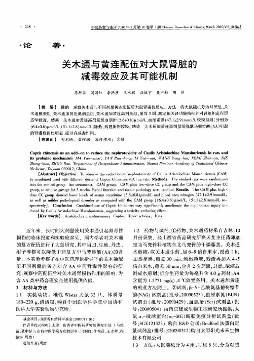 关木通与黄连配伍对大鼠肾脏的减毒效应及其可能机制
