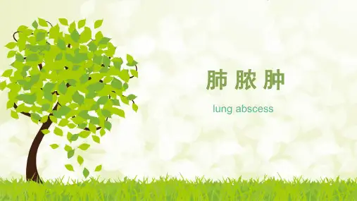 呼吸系统疾病之肺脓肿