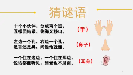 《奇妙的人体》课件 语文版中职语文拓展模块